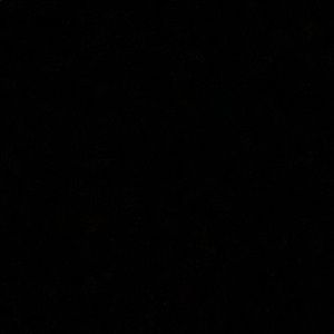 Meet your Posher, Mackenzie